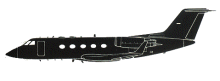 Silhouette image of generic GLF2 model; specific model in this crash may look slightly different