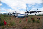 photo of Antonov-An-12BK-RA-11376
